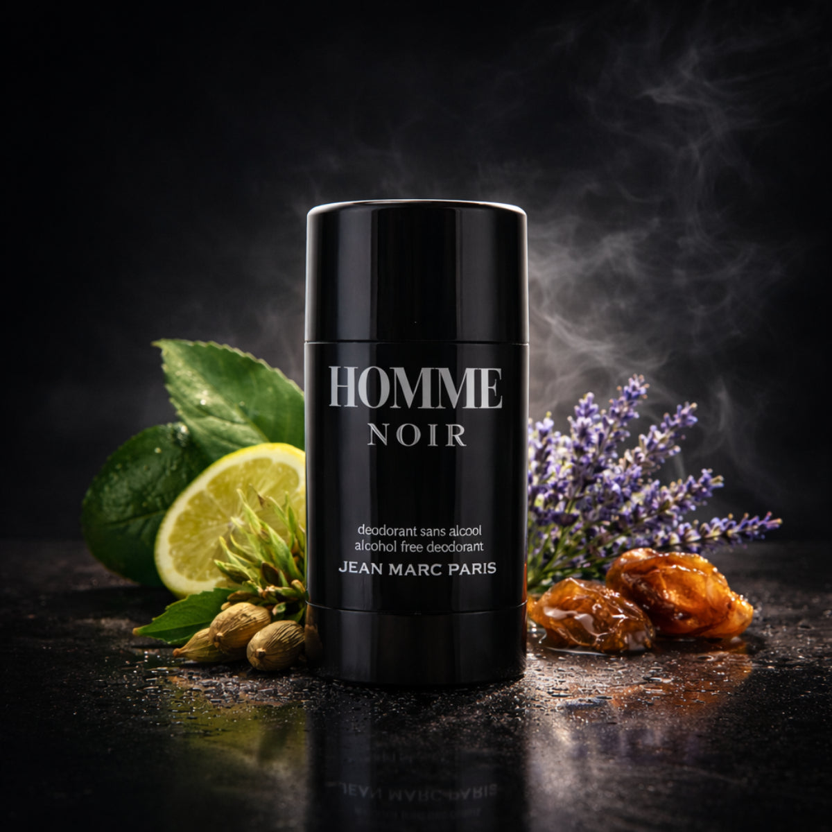 Deo Stick Homme Noir 85gr